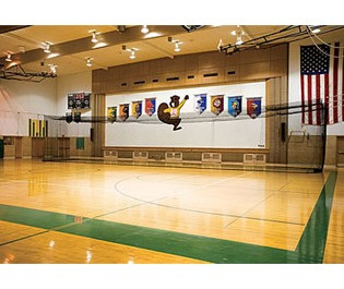 phantom batting cage