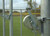 TUFFframe™ ELITE Outdoor Baseball Batting Cage