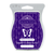 Scentsy Fragrance Bar Packages