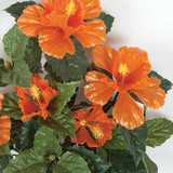 Orange UV Outdoor Rated 21" Height Hibiscus