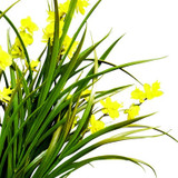 22" Outdoor Rated Freesia-2 Colors