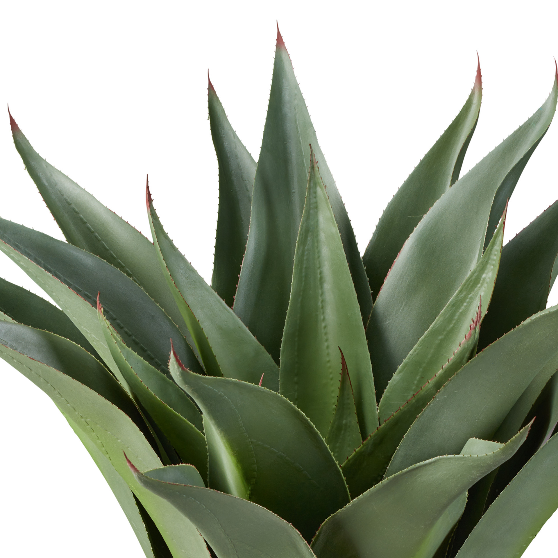 Flowers & Plants Page 1 Artificial Plants Unlimited