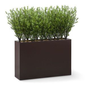 UV Outdoor Rated Rosemary Shrub Divider in Modern Planter UV Outdoor Rated Rosemary Shrub Divider in Modern Planter