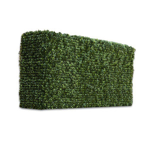 UV Outdoor Rated Duraleaf Boxwood Hedge on white background UV Outdoor Rated Duraleaf Boxwood Hedge on white background