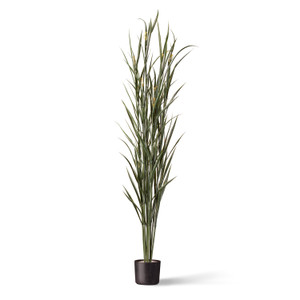 Close up of UV Outdoor Rated Pampas Grass Cluster in weighted base Close up of UV Outdoor Rated Pampas Grass Cluster in weighted base