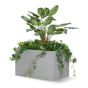 Baxter Fiberglass Rectangular Planter with green plants Baxter Fiberglass Rectangular Planter with green plants