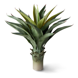 UV Outdoor Rated 24" Agave Macroacantha UV Outdoor Rated 24" Agave Macroacantha