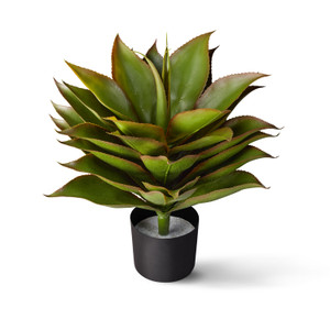 UV Outdoor Rated 24" Agave Broadleaf Plant in weighted base UV Outdoor Rated 24" Agave Broadleaf Plant in weighted base