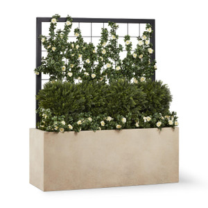  Trellis Vine & Shrub Planting in Modern Fiberstone Planter 