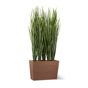 Reed Leaf Grass in Madera Tapered Fiberglass Planter