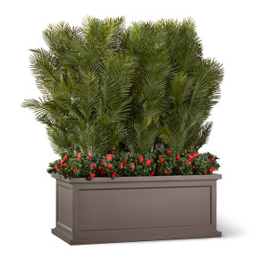 Areca Palms with Flowers in Keswick Fiberglass Planter Areca Palms with Flowers in Keswick Fiberglass Planter