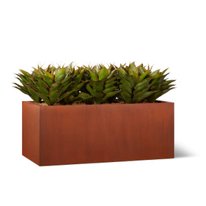 Broad Leaf Agave in Modern Armorecoat Corten Planter