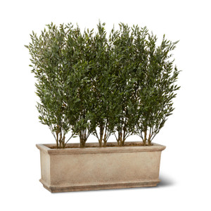  Ruscus Trees in Lynx GFRC Planter 