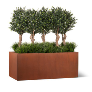 Ixora Chinensis / Grass Mix in Modern Armorecoat Corten Planter Ixora Chinensis / Grass Mix in Modern Armorecoat Corten Planter