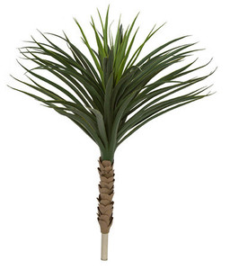 36" Yucca Outdoor UV Rated Plant on white 36" Yucca Outdoor UV Rated Plant on white