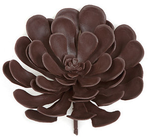 Burgundy 22" Outdoor Rated Agave plant Burgundy 22" Outdoor Rated Agave plant