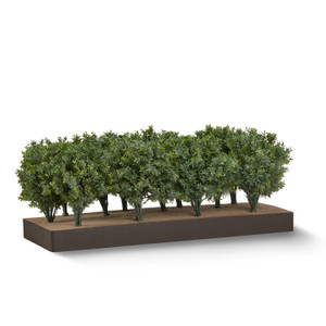 Basil plants sold by the square foot. Shown: 8 SQFT Basil plants sold by the square foot. Shown: 8 SQFT