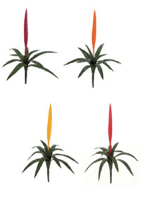 27" Outdoor UV Rated Vriesa Splendens in Red, Yellow, Fuchsia, Orange