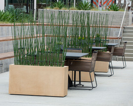 Practical Solutions for Green Spaces: Solving Critical Dilemmas with Artificial Plants