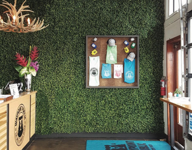 Creating an Immersive Shopping Experience with Faux Greenery Creating an Immersive Shopping Experience with Faux Greenery