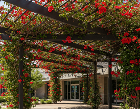 Smart Shade: Using Faux Plants for Shading and Light Control in Commercial Spaces Smart Shade: Using Faux Plants for Shading and Light Control in Commercial Spaces