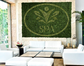 Why Artificial Plants Are the Smart Choice for Businesses Why Artificial Plants Are the Smart Choice for Businesses