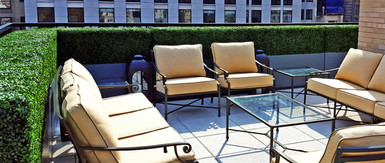 Built to Last Commercial-Grade Boxwood Hedges Built to Last Commercial-Grade Boxwood Hedges