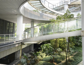 The Art of the Mix: Mastering Hybrid Planting