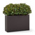 UV Outdoor Rated Rhododendron Divider in Modern Planter UV Outdoor Rated Rhododendron Divider in Modern Planter
