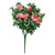 UV Rated RED Azalea bush  with green leaves on white background