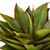 Close up of UV Outdoor Rated 24" Agave Broadleaf Plant in weighted base on white background