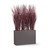 Purple Outdoor Rated Fountain Grass in a Modern Planter on white background Purple Outdoor Rated Fountain Grass in a Modern Planter on white background