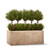 Topiary & Grass in Strato Fiberstone Planter