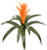 22" Orange Outdoor UV Rated Guzmania