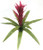 22" Fuchsia Outdoor UV Rated Guzmania