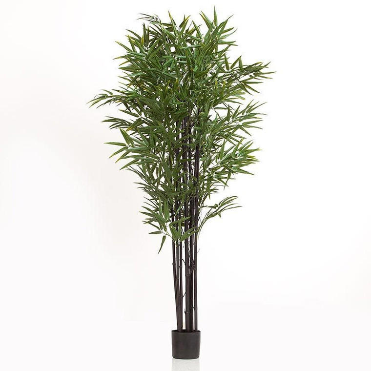 UV Outdoor Rated 67" Black Bamboo Cluster in Weighted Base