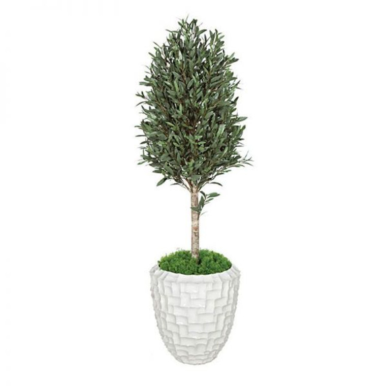 UV Outdoor Rated 5 FT Olive Tree with Natural Trunk