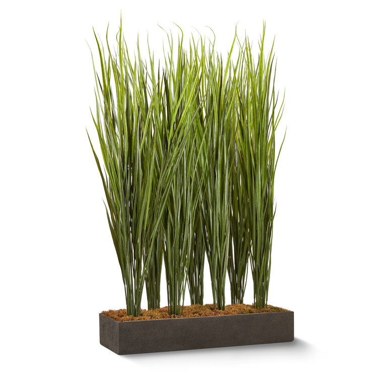 Reed leaf sold by the square foot. Shown: 8 SQFT, 7 PLANTS