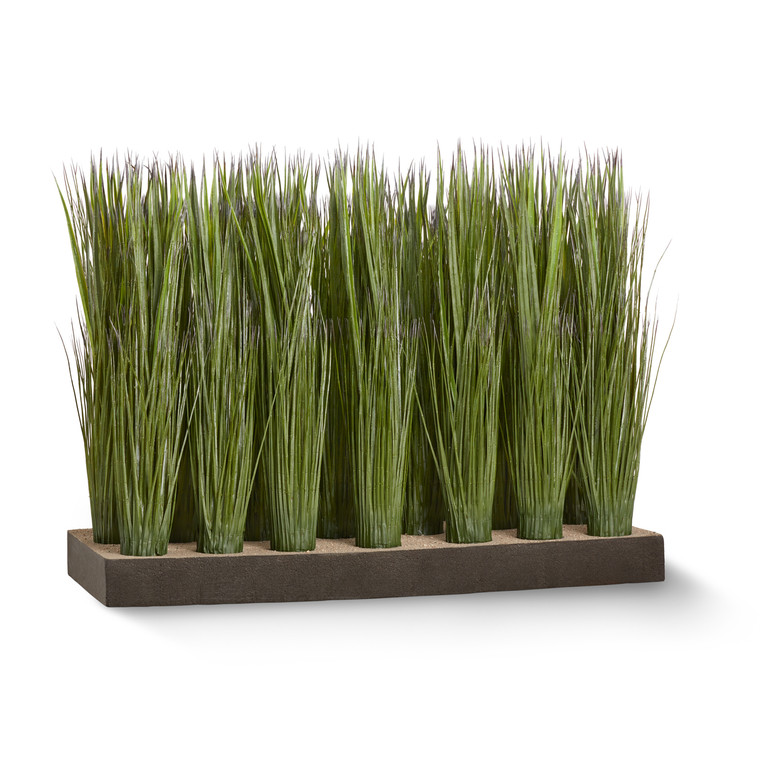 Ocean grass plants sold by the square foot. Shown: 8 SQFT