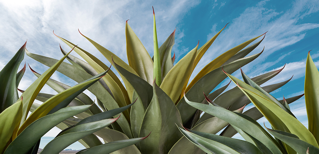 Artificial Plants Unlimited