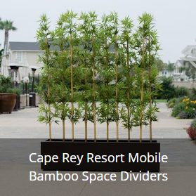 Artificial Bamboo in Modern Planter on casters at high-end hotel, create spaces for special events and way finding.