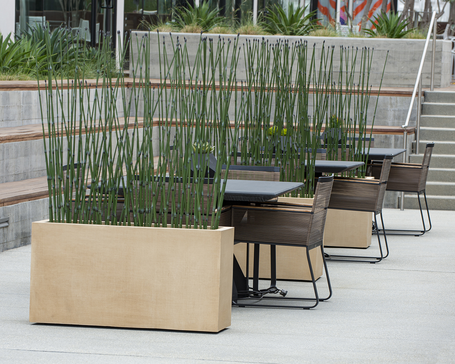 Practical Solutions for Green Spaces Solving Critical Dilemmas with