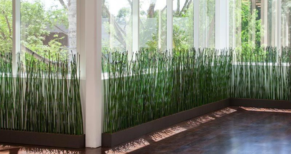 Hedges in Planters