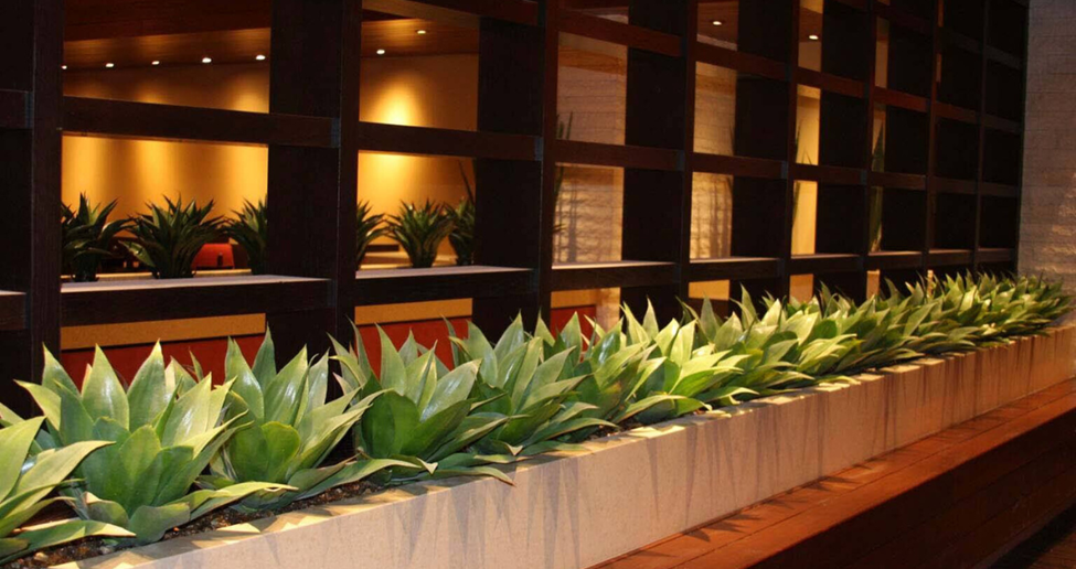 Artificial Agave