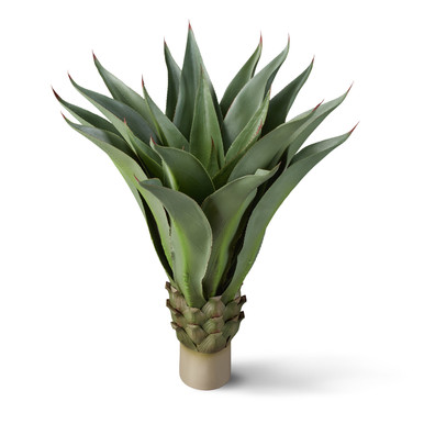 39" Height Agave Macroacantha- Exterior Rated UV Fade Resistant