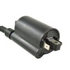 External Ignition Coil RM06163