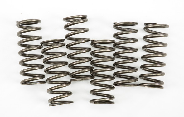 EBC Clutch Springs Csk221 Csk221