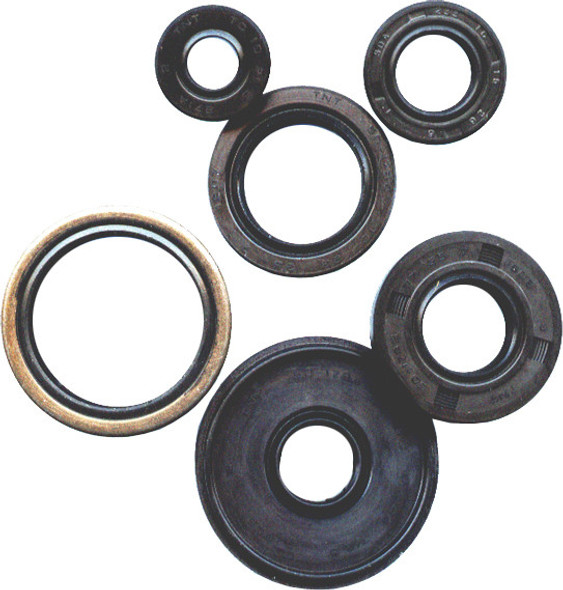 Vertex Oil Seal Set 822287