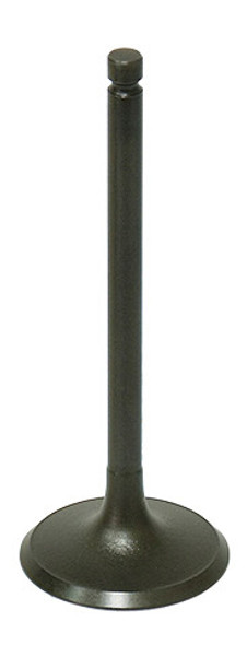 Bronco Intake Valve Au-09191I