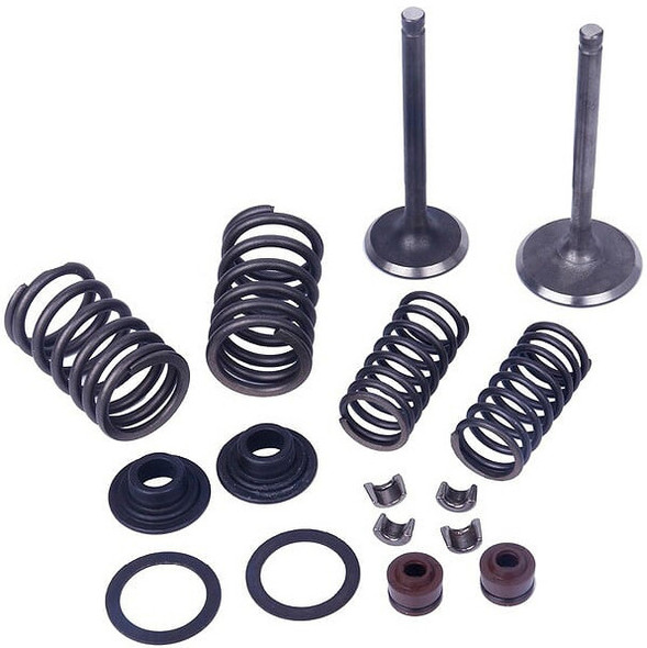 Mogo Parts Valve Kit 250-300 61-0214